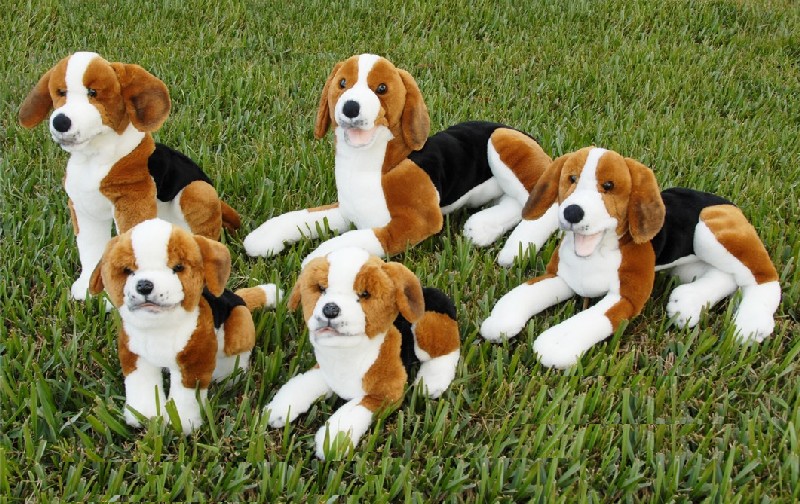 BEAGLE (image for) BEAGLE