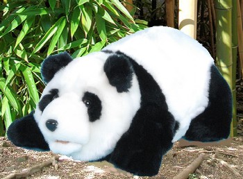 PANDA PUPPETS (LARGE) (image for) PANDA PUPPETS (LARGE)