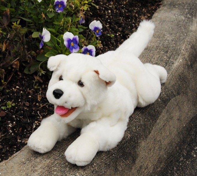 White Puppy (image for) White Puppy