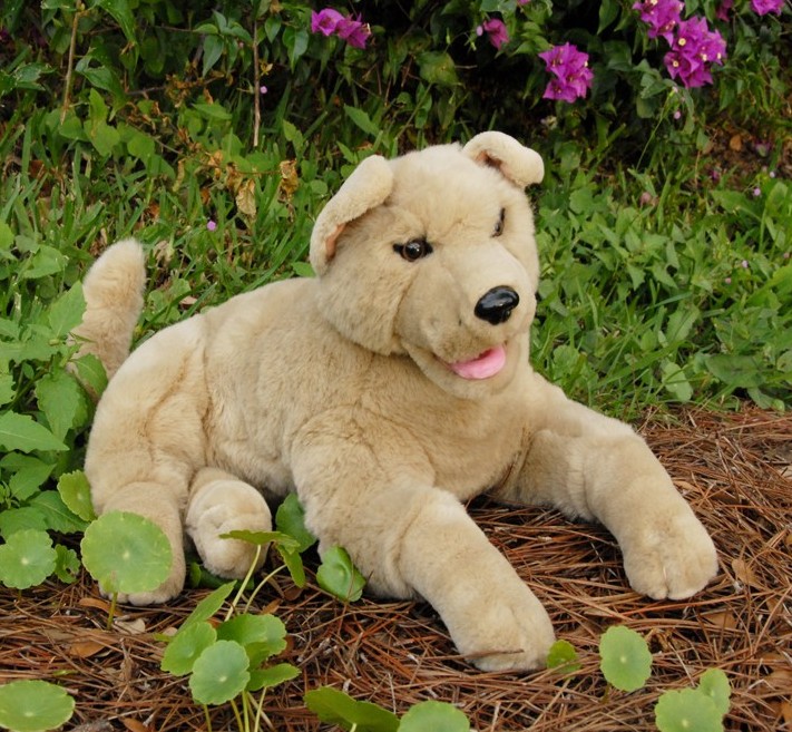 Beige Puppy (image for) Beige Puppy