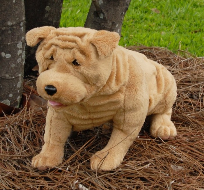 Shar Pei (image for) Shar Pei