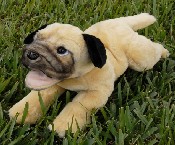 Pug (image for) Pug